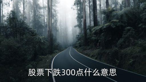 股票下跌300点什么意思