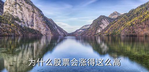 为什么股票会涨得这么高