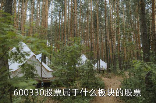 西仪股份是什么板块股票，股票中300053是什么板块