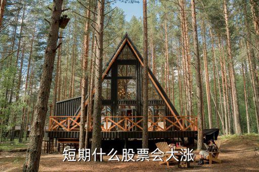 短期什么股票会大涨