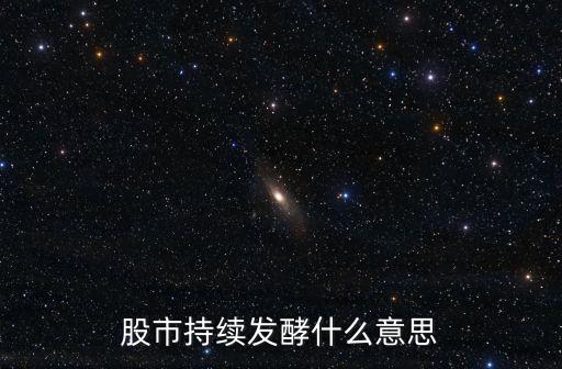 股市持续发酵什么意思