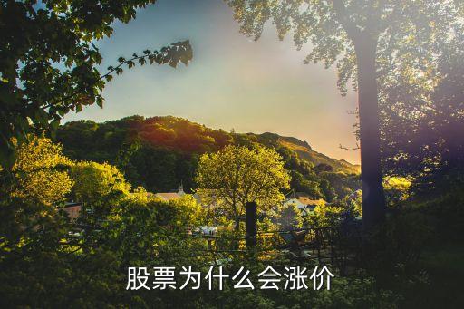 为什么工程机械股票涨价，股票为什么会涨价