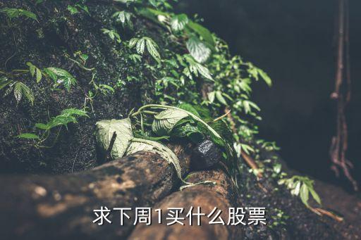 求下周1买什么股票