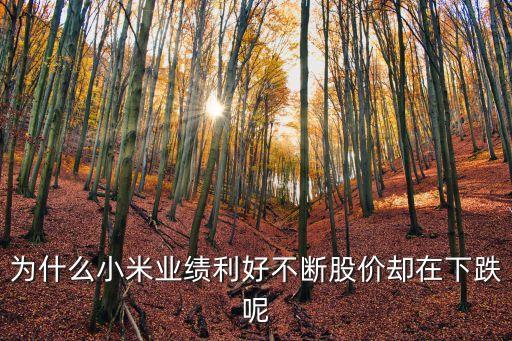 小米为什么看重股票还跌，小米集团股票为什么跌