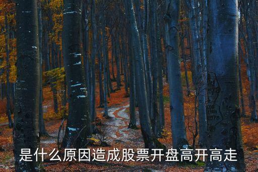 是什么原因造成股票开盘高开高走