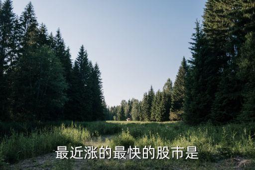 这几天什么股票涨的最快，最近什么股票涨的最高1