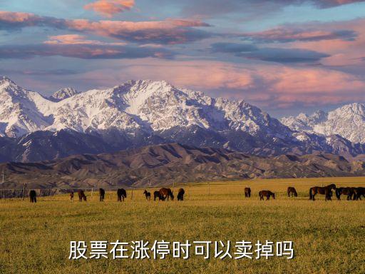 股票在涨停时可以卖掉吗
