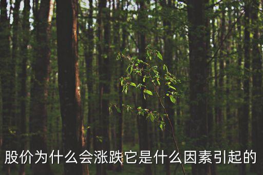 股价为什么会涨跌它是什么因素引起的