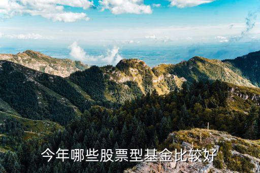 今年什么类的股票和基金，今年哪些股票型基金比较好