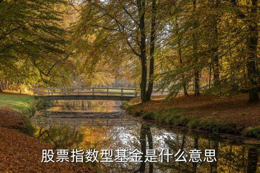 股票对应的指数基金是什么，股票指数基金是什么意思