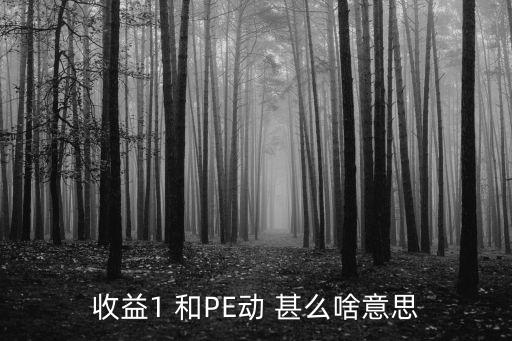 收益1 和PE动 甚么啥意思
