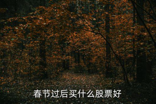 春节过后买什么股票好