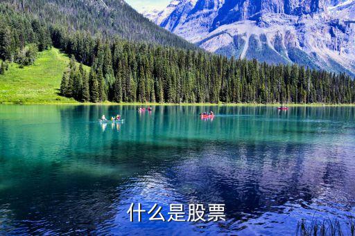 什么是股票