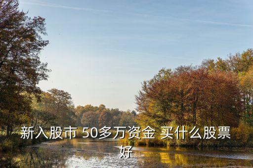 50万能买入什么股票，我有50万元买几只股票教好
