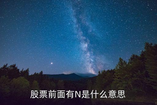 股票前面有N是什么意思