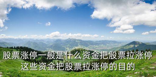 股票涨停一般是什么资金把股票拉涨停这些资金把股票拉涨停的目的