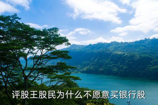 评股王股民为什么不愿意买银行股