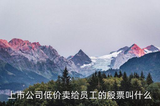 上市公司低价卖给员工的股票叫什么