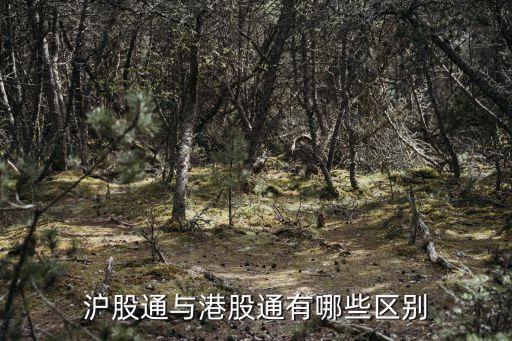 沪股通与港股通有哪些区别