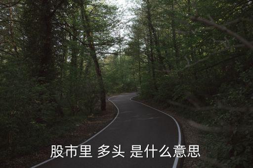 融智股票多头是什么意思，股市多头行情是什么意思