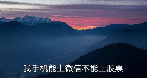 我手机能上微信不能上股票