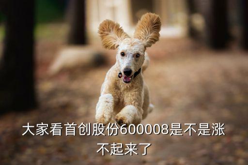 大家看首创股份600008是不是涨不起来了
