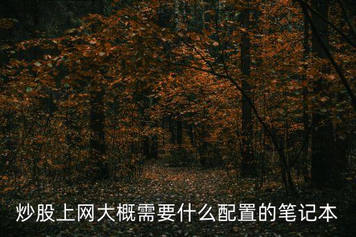 炒股上网大概需要什么配置的笔记本
