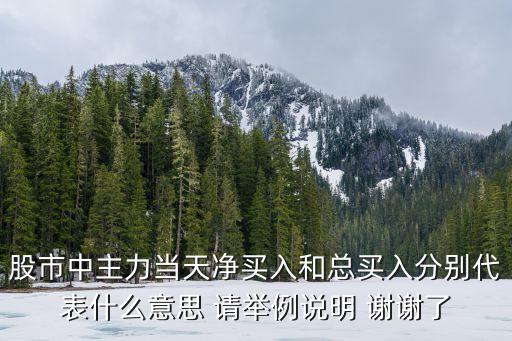 股市中主力当天净买入和总买入分别代表什么意思 请举例说明 谢谢了