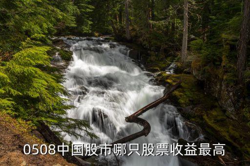 效益最高的股票是什么股，去年回报最高的股票是什么