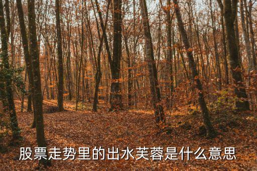 股票走势里的出水芙蓉是什么意思