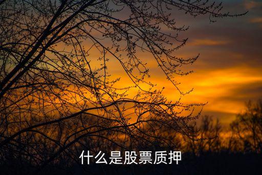 变相股票质押什么意思，什么是股票质押