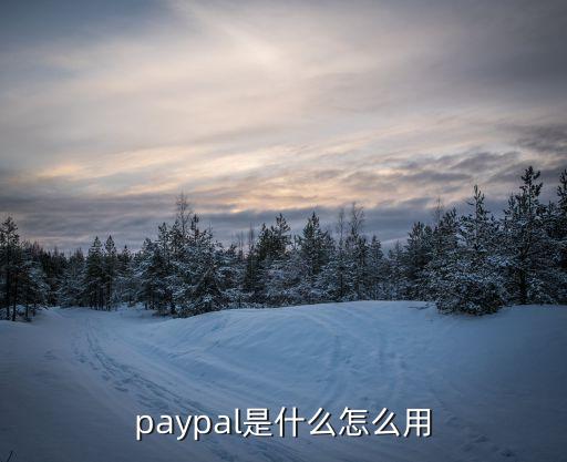 paypal是什么怎么用