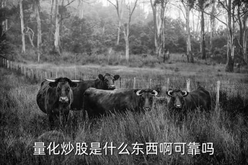 量化炒股是什么东西啊可靠吗