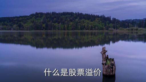 什么是股票溢价