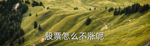 为什么有些股票突然涨不了，股票为什么不涨