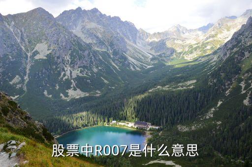 股票中R007是什么意思