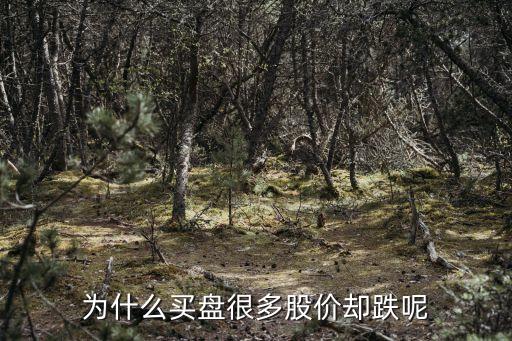 为什么买盘很多股价却跌呢