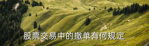 股票交易中的撤单有何规定
