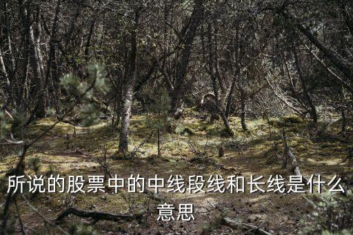 所说的股票中的中线段线和长线是什么意思