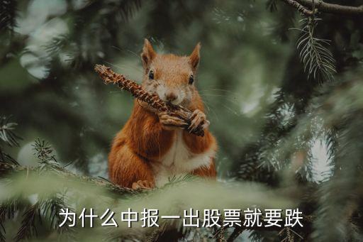为什么中报一出股票就要跌