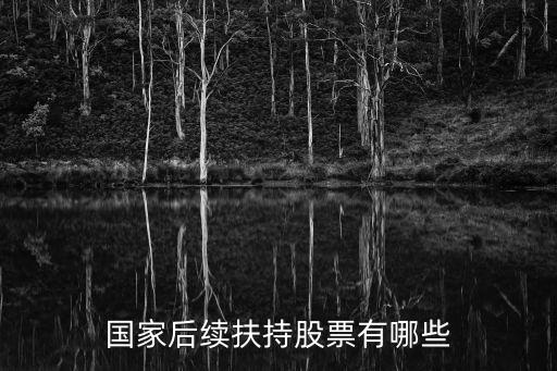 国家后续扶持股票有哪些