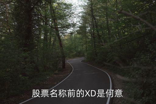 股票名称前的XD是何意