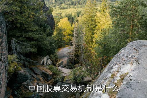 中国股票交易机制是什么