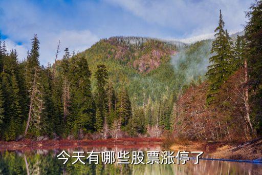 今日有什么大指数股票涨停，今天有多少股票涨停