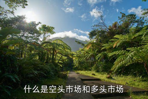什么是空头市场和多头市场