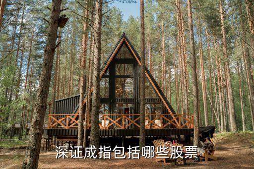 深证成指包括哪些股票