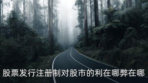 注册制板股票有什么讲解，a股注册制是什么意思