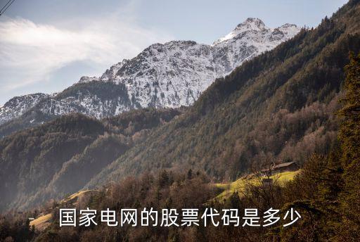 国家电网的股票代码是多少