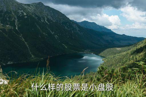 什么样的股票是小盘股