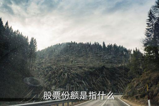 股票份额是指什么